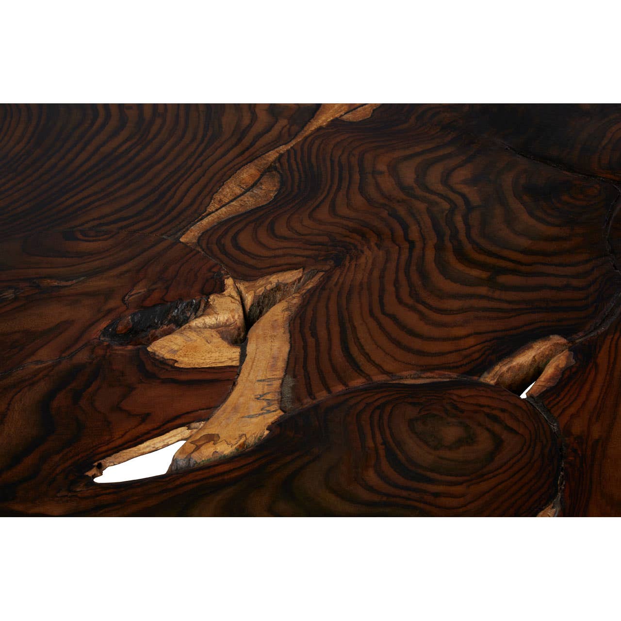Batam Sonokeling Root Coffee Table
