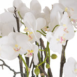 Load image into Gallery viewer, Large Stone Potted Orchid With Roots
