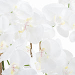 Load image into Gallery viewer, Large White Tall Orchid In Glass Pot
