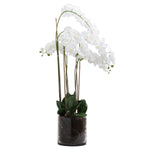 Load image into Gallery viewer, Large White Tall Orchid In Glass Pot
